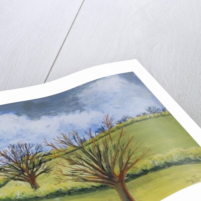 Suffolk Spring Sky by Joan Thewsey