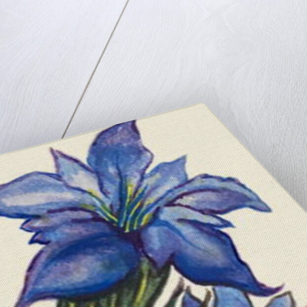 Gentians by Joan Thewsey