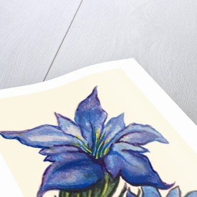 Gentians by Joan Thewsey