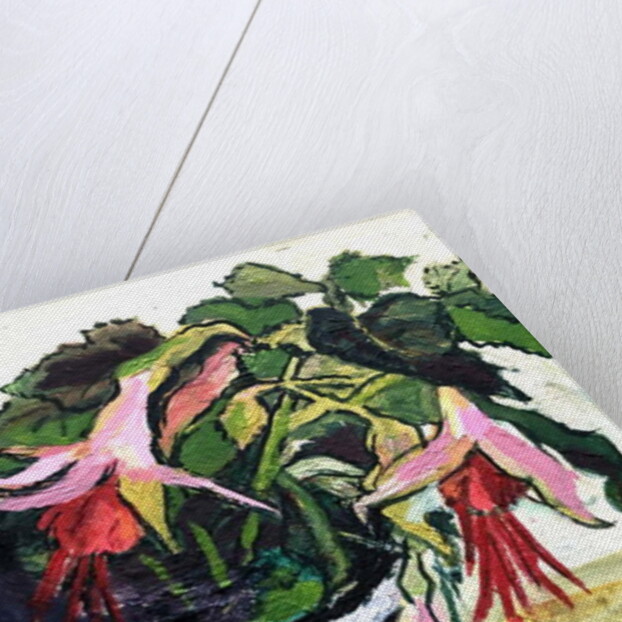 Fuchsias by Joan Thewsey