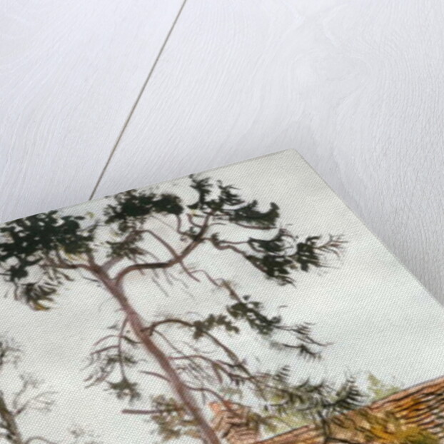 Cottage with Fir Tree by Joan Thewsey