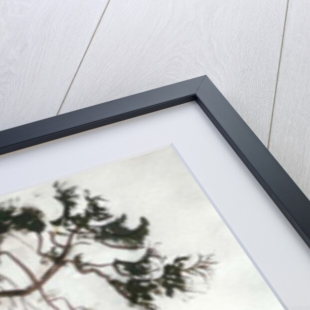 Cottage with Fir Tree by Joan Thewsey