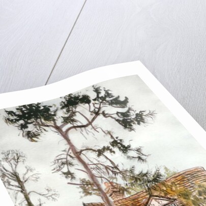 Cottage with Fir Tree by Joan Thewsey