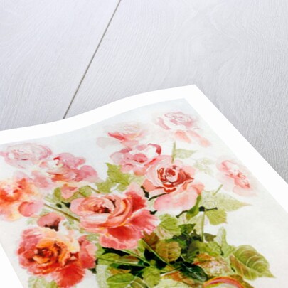 Pink Roses by Joan Thewsey