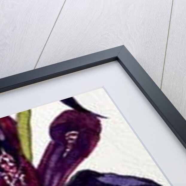 Irises and Primroses by Joan Thewsey