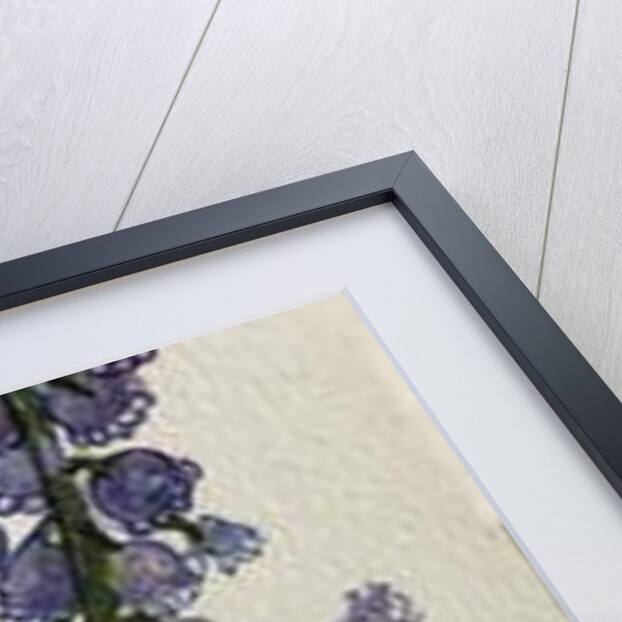 Muscari and Viburnum bodnantense by Joan Thewsey