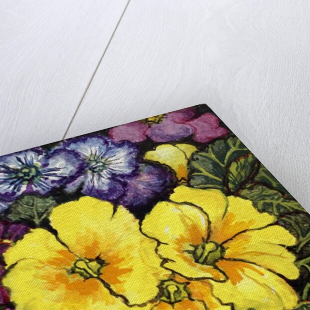 Three Yellow Primroses surrounded by mauve and purple primroses and leaves by Joan Thewsey