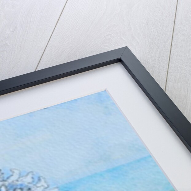 Two Seashells by Joan Thewsey