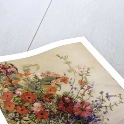 Petunias, Lobelias, Busy Lizzies and Fuschia in a Terracotta Pot by Joan Thewsey