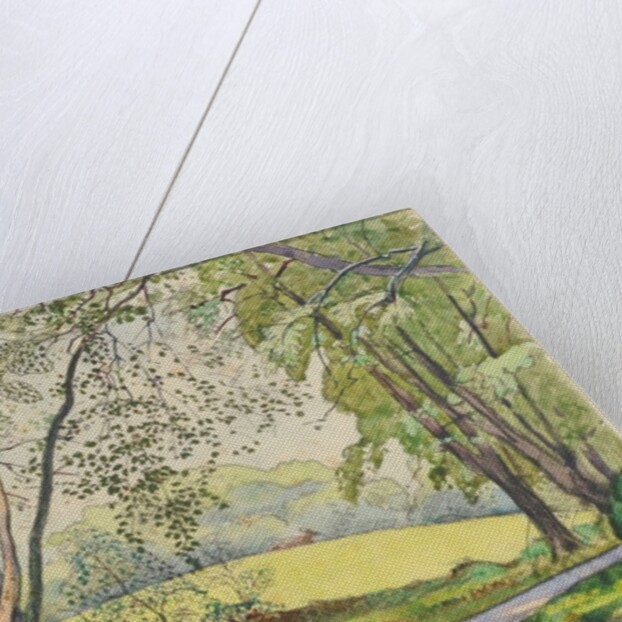 Through the Trees, 1910-15 by James Hamilton Hay