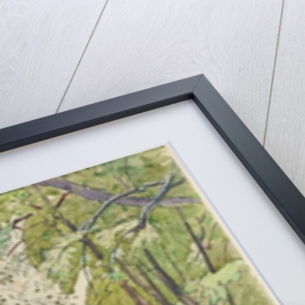 Through the Trees, 1910-15 by James Hamilton Hay