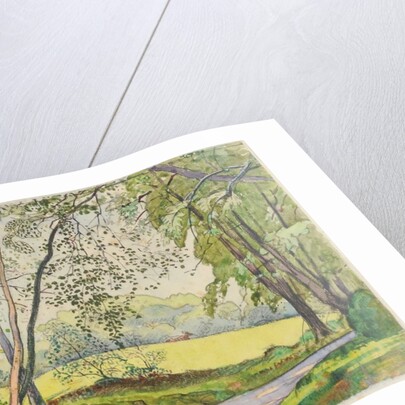 Through the Trees, 1910-15 by James Hamilton Hay