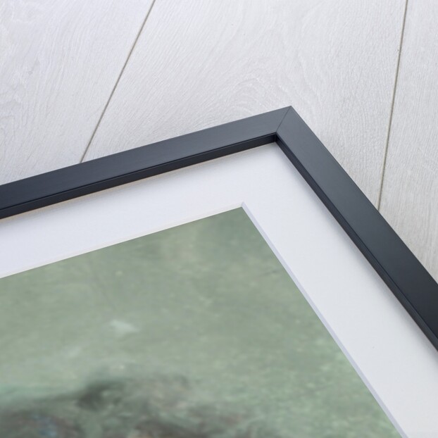 Portrait of Emily Bottomley, 1901 by Mary McCrossan