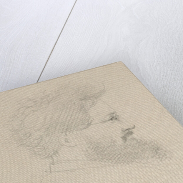 Portrait of William Morris, c.1875 by George 9th Earl of Carlisle Howard