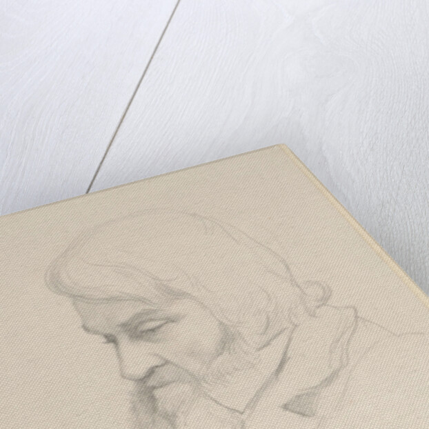 Portrait of Thomas Carlyle, c.1875 by George 9th Earl of Carlisle Howard