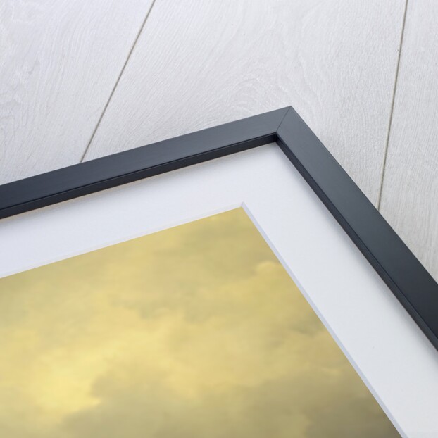 A View of Dortrecht, The Sawmill, 1843 by Andreas Schelfhout