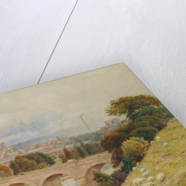 Carlisle from Rickerby Park in the Year of Her Majesty's Diamond Jubilee, 1897 by Thomas Bushby