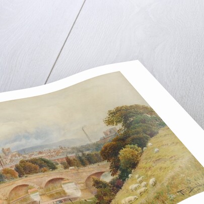 Carlisle from Rickerby Park in the Year of Her Majesty's Diamond Jubilee, 1897 by Thomas Bushby