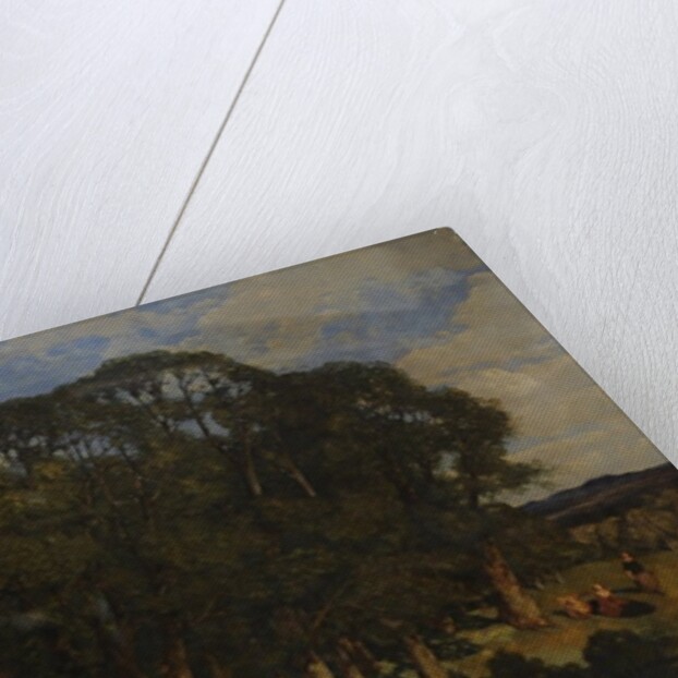 The Rookery, 1854 by William James Blacklock