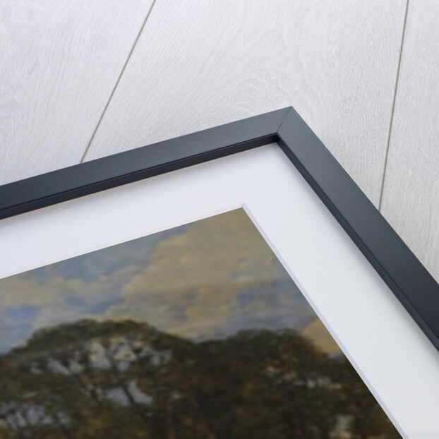 The Rookery, 1854 by William James Blacklock