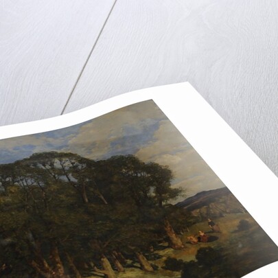 The Rookery, 1854 by William James Blacklock