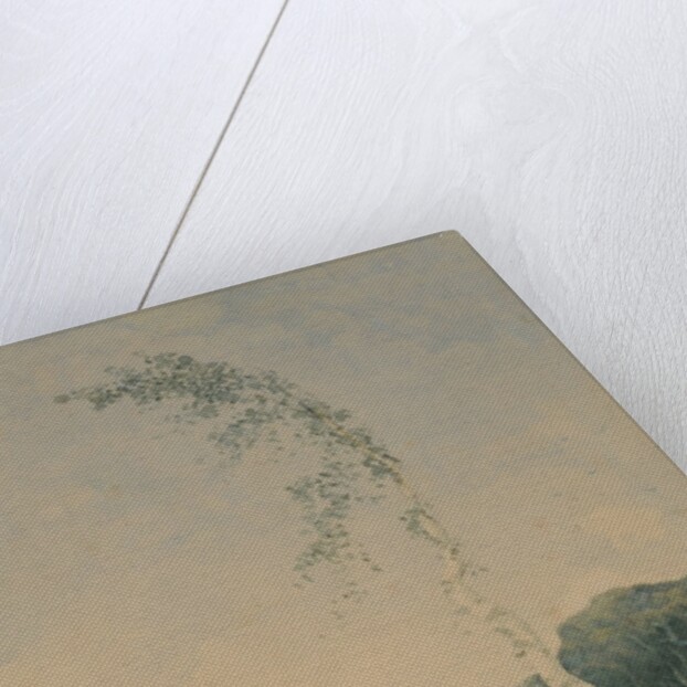 Silver Birch by a Lake, 1845 by William James Blacklock