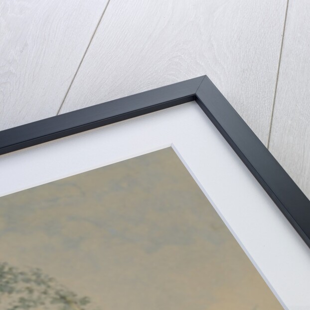 Silver Birch by a Lake, 1845 by William James Blacklock