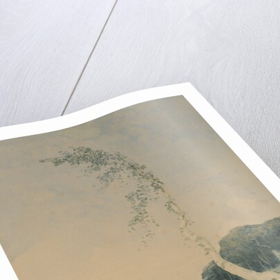 Silver Birch by a Lake, 1845 by William James Blacklock