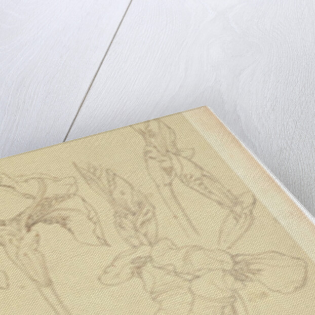 Botanical Studies, 1900-30 by James Atherton