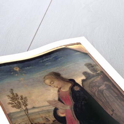 Madonna and Child in a Landscape by Jacopo del Sellaio