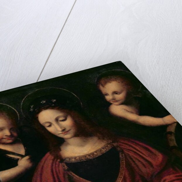 St. Catherine of Alexandria by Bernardino Luini