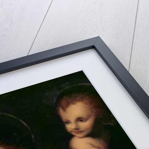 St. Catherine of Alexandria by Bernardino Luini