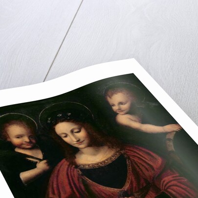 St. Catherine of Alexandria by Bernardino Luini