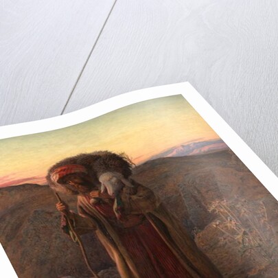 The Lost Sheep, 1864 by William J. Webbe or Webb