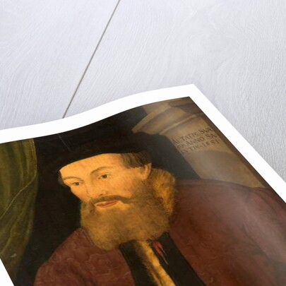 Portrait of a Man, 1551 by Flemish School