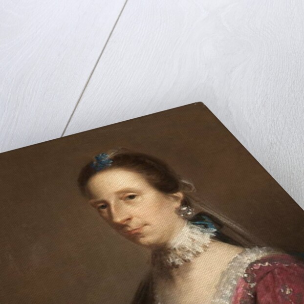 Portrait of a Lady by John Astley