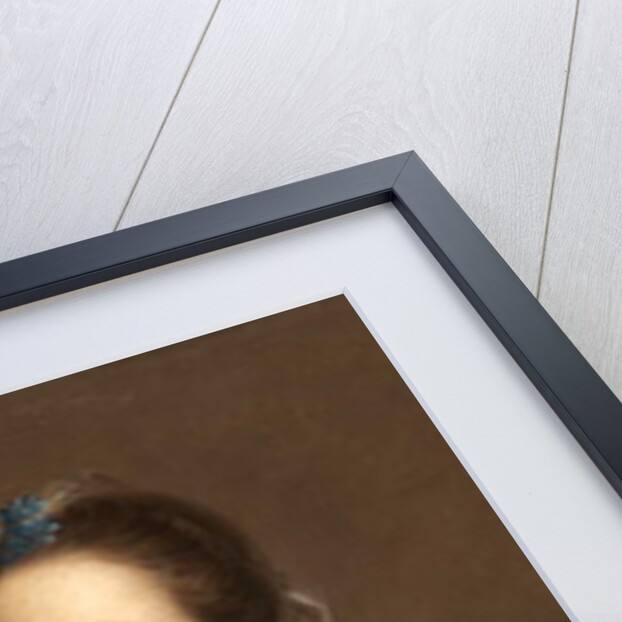 Portrait of a Lady by John Astley