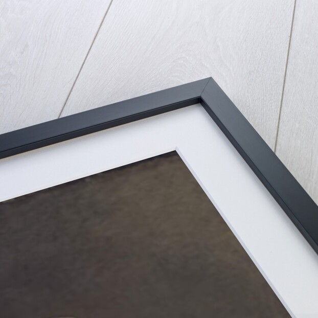 Portrait of Cooper Penrose, 1802 by Jacques Louis David