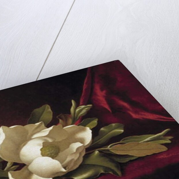The Magnolia Blossom, 1888 by Martin Johnson Heade