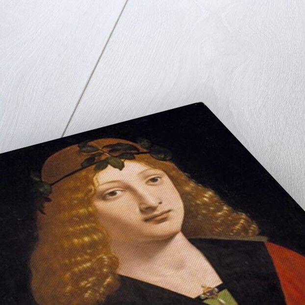 Portrait of a Youth Holding an Arrow, c.1500-10 by Giovanni Antonio Boltraffio