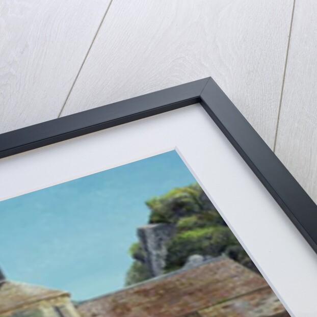 Lavender Picker, Abbaye Senanque, Provence by Trevor Neal