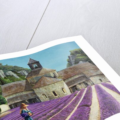 Lavender Picker, Abbaye Senanque, Provence by Trevor Neal