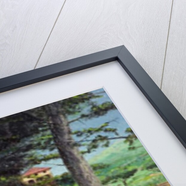 Big Pig, Pistoia, Tuscany by Trevor Neal