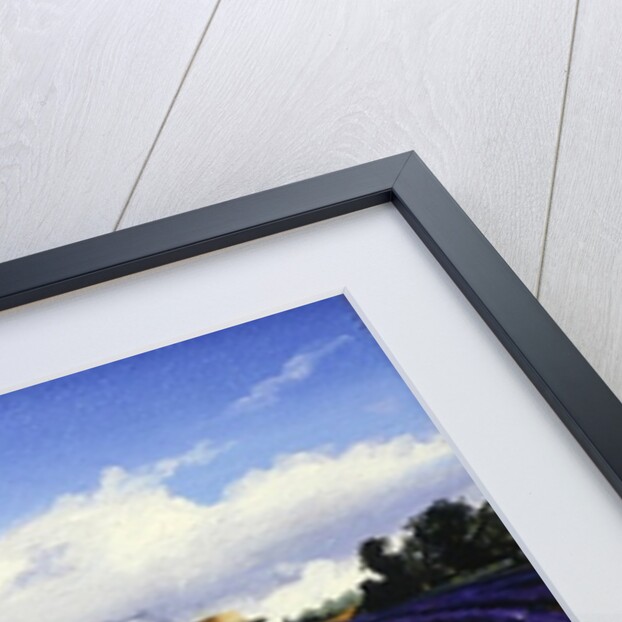 Painter, Vaucluse, Provence, 1998 by Trevor Neal