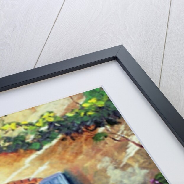 Shuttered windows, Provence, France, 1999 by Trevor Neal