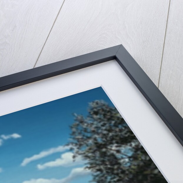 Lollipop Tree, Umbria, 1998 by Trevor Neal