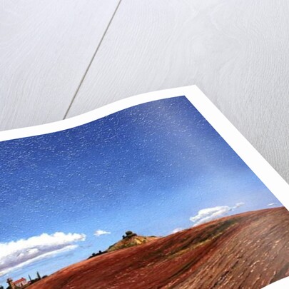 Big Sky, Hill Top, Todi, Umbria, 1998 by Trevor Neal