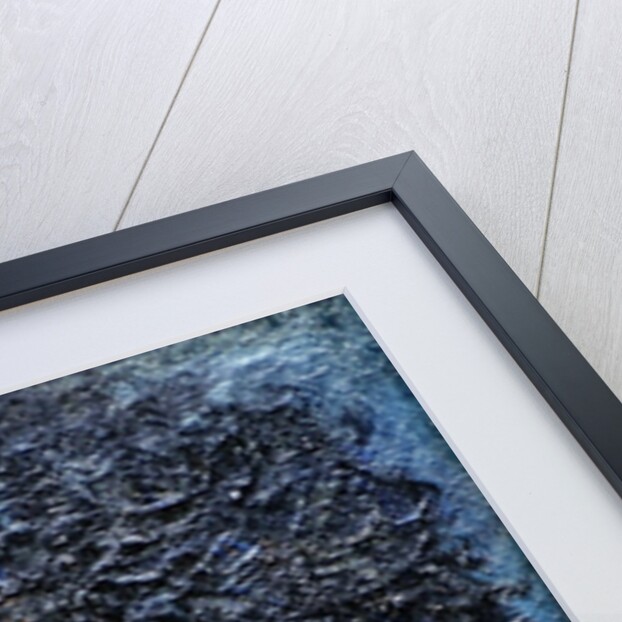 Dylan by Trevor Neal