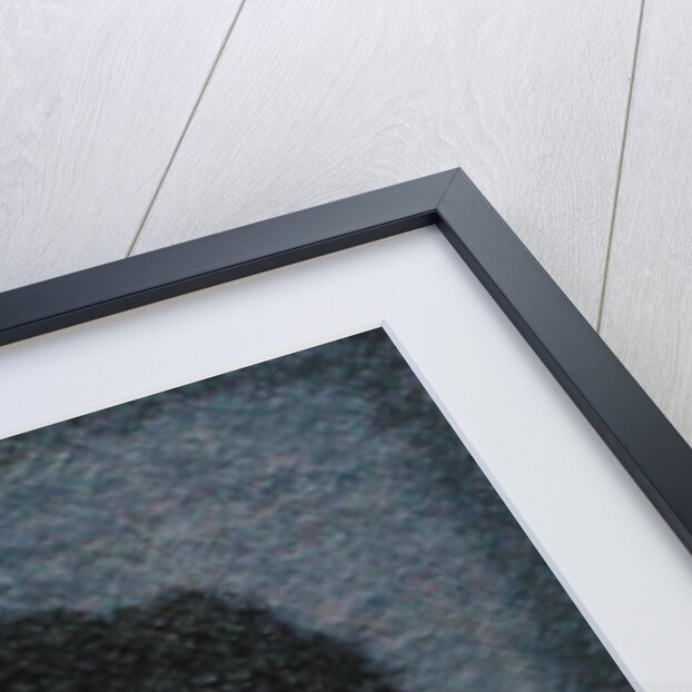 Springsteen by Trevor Neal