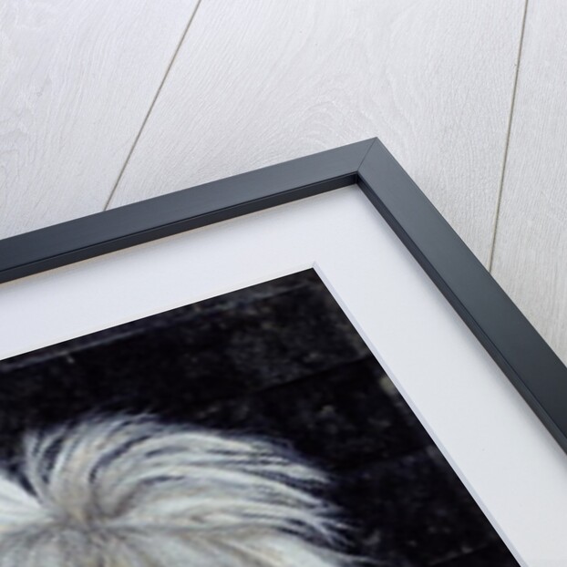 Warhol by Trevor Neal